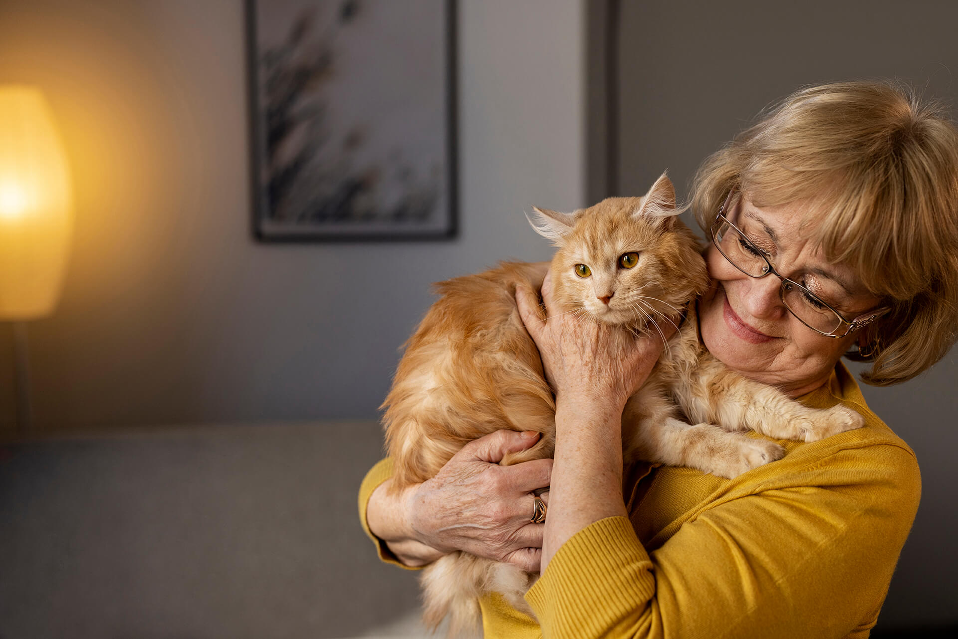 Elderly woman in a cozy home hugging her cat, highlighting companionship and emotional support offered by Sunshine Home Care Services.